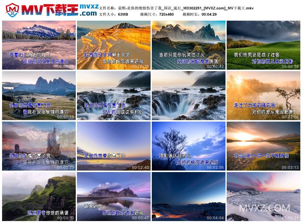 晨熙-是你的绝情伤害了我_国语_流行_MD302251